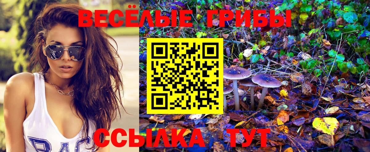 Галлюциногенные грибы мицелий Новочеркасск