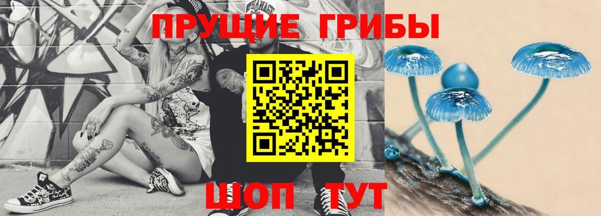 Галлюциногенные грибы ЛСД  Вход с VPN  Новочеркасск 